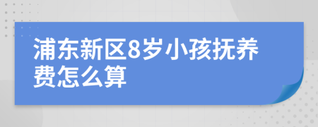 浦东新区8岁小孩抚养费怎么算