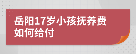 岳阳17岁小孩抚养费如何给付