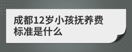 成都12岁小孩抚养费标准是什么