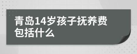 青岛14岁孩子抚养费包括什么