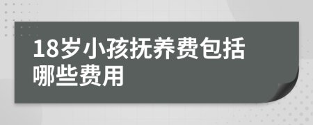 18岁小孩抚养费包括哪些费用