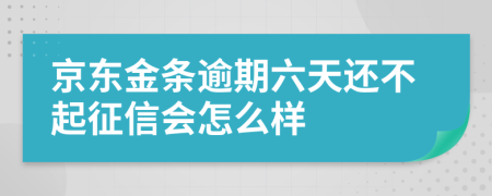 京东金条逾期六天还不起征信会怎么样