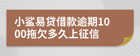 小鲨易贷借款逾期1000拖欠多久上征信