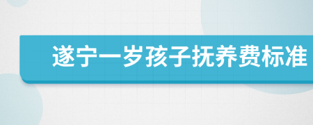 遂宁一岁孩子抚养费标准