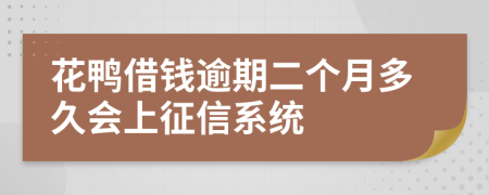 花鸭借钱逾期二个月多久会上征信系统