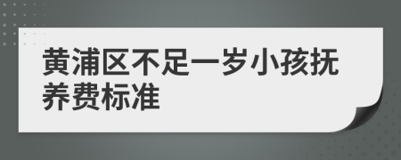 黄浦区不足一岁小孩抚养费标准