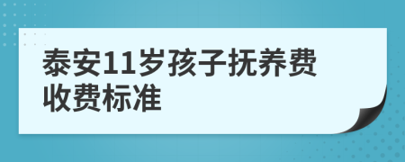 泰安11岁孩子抚养费收费标准