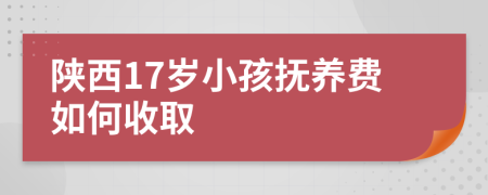 陕西17岁小孩抚养费如何收取