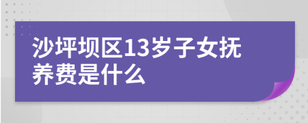 沙坪坝区13岁子女抚养费是什么