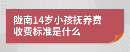 陇南14岁小孩抚养费收费标准是什么