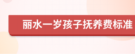 丽水一岁孩子抚养费标准