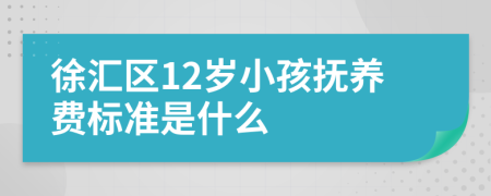 徐汇区12岁小孩抚养费标准是什么