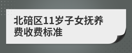 北碚区11岁子女抚养费收费标准