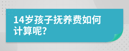 14岁孩子抚养费如何计算呢？