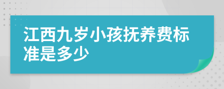 江西九岁小孩抚养费标准是多少