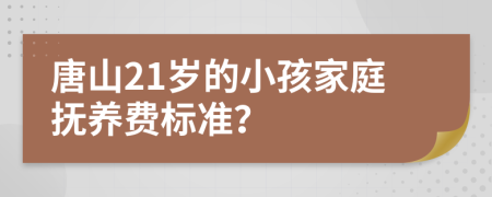 唐山21岁的小孩家庭抚养费标准？
