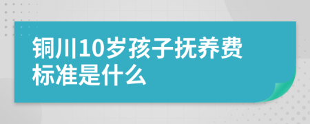 铜川10岁孩子抚养费标准是什么