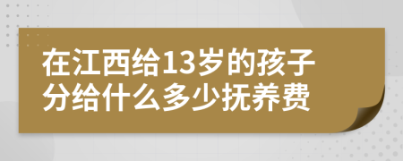在江西给13岁的孩子分给什么多少抚养费