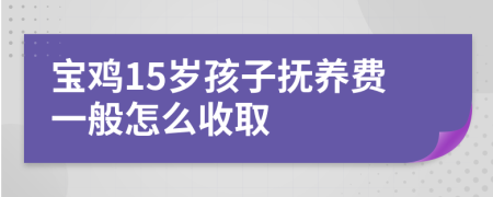 宝鸡15岁孩子抚养费一般怎么收取