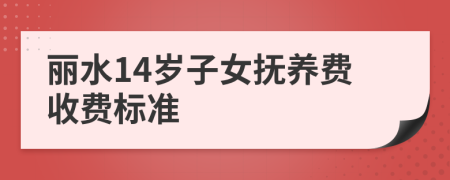 丽水14岁子女抚养费收费标准