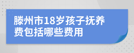 滕州市18岁孩子抚养费包括哪些费用