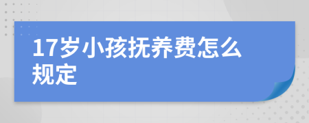 17岁小孩抚养费怎么规定