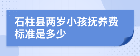 石柱县两岁小孩抚养费标准是多少