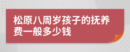 松原八周岁孩子的抚养费一般多少钱