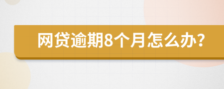 网贷逾期8个月怎么办？