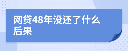 网贷48年没还了什么后果