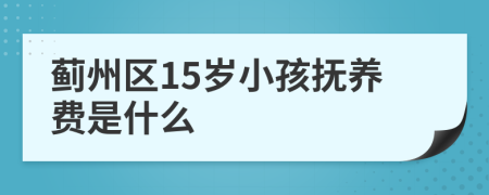 蓟州区15岁小孩抚养费是什么