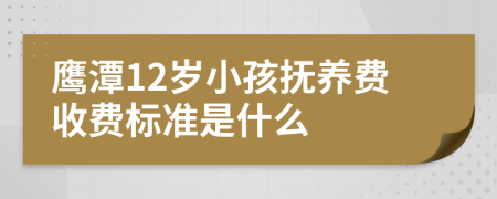 鹰潭12岁小孩抚养费收费标准是什么