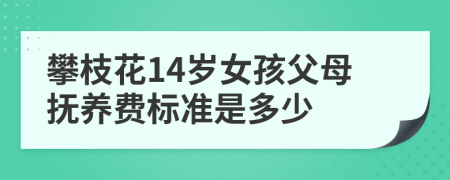 攀枝花14岁女孩父母抚养费标准是多少