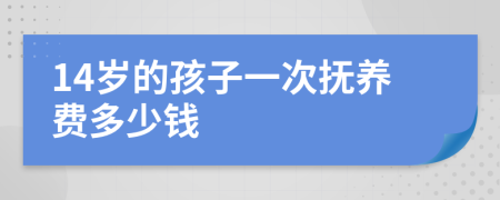 14岁的孩子一次抚养费多少钱