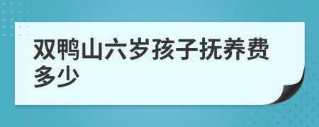 双鸭山六岁孩子抚养费多少