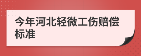 今年河北轻微工伤赔偿标准