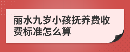 丽水九岁小孩抚养费收费标准怎么算