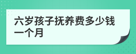 六岁孩子抚养费多少钱一个月