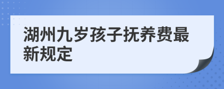 湖州九岁孩子抚养费最新规定