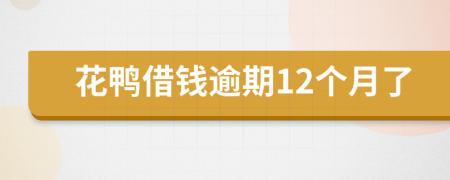 花鸭借钱逾期12个月了