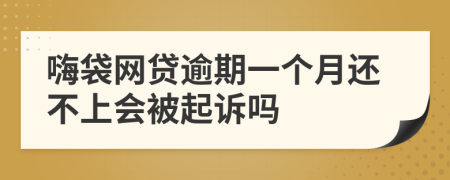 嗨袋网贷逾期一个月还不上会被起诉吗