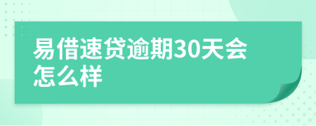 易借速贷逾期30天会怎么样
