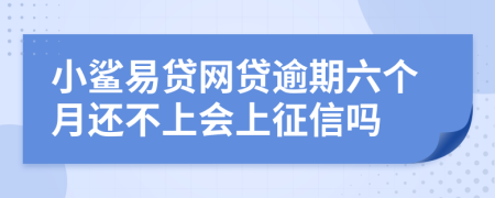 小鲨易贷网贷逾期六个月还不上会上征信吗