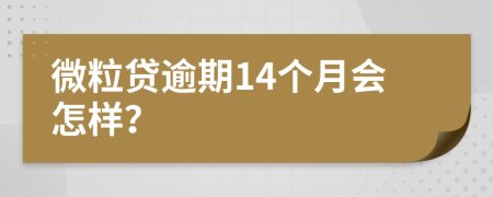 微粒贷逾期14个月会怎样？