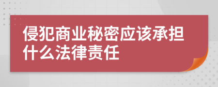 侵犯商业秘密应该承担什么法律责任