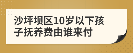 沙坪坝区10岁以下孩子抚养费由谁来付