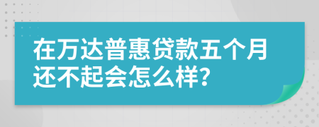 在万达普惠贷款五个月还不起会怎么样？