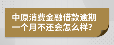 中原消费金融借款逾期一个月不还会怎么样？