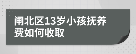 闸北区13岁小孩抚养费如何收取