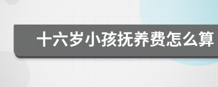 十六岁小孩抚养费怎么算
